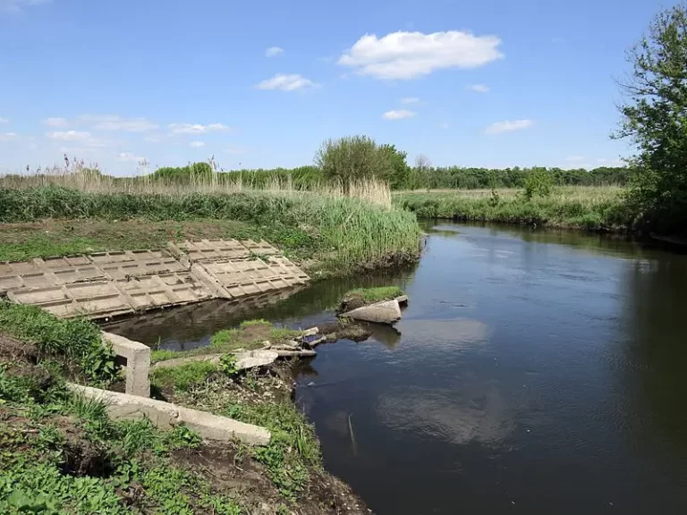 Irpin river near Moshchun village, Kiev oblast, Ukraine